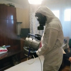 Дезинфекция от клопов в Рубцовске