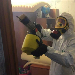 Уничтожение клопов в квартире. Рубцовск